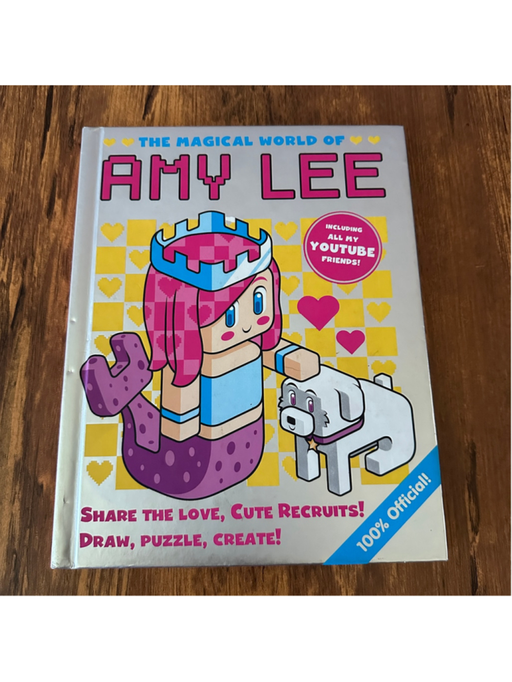 The Magical World of Amy Lee Activity Book Scholastic Official Paperback